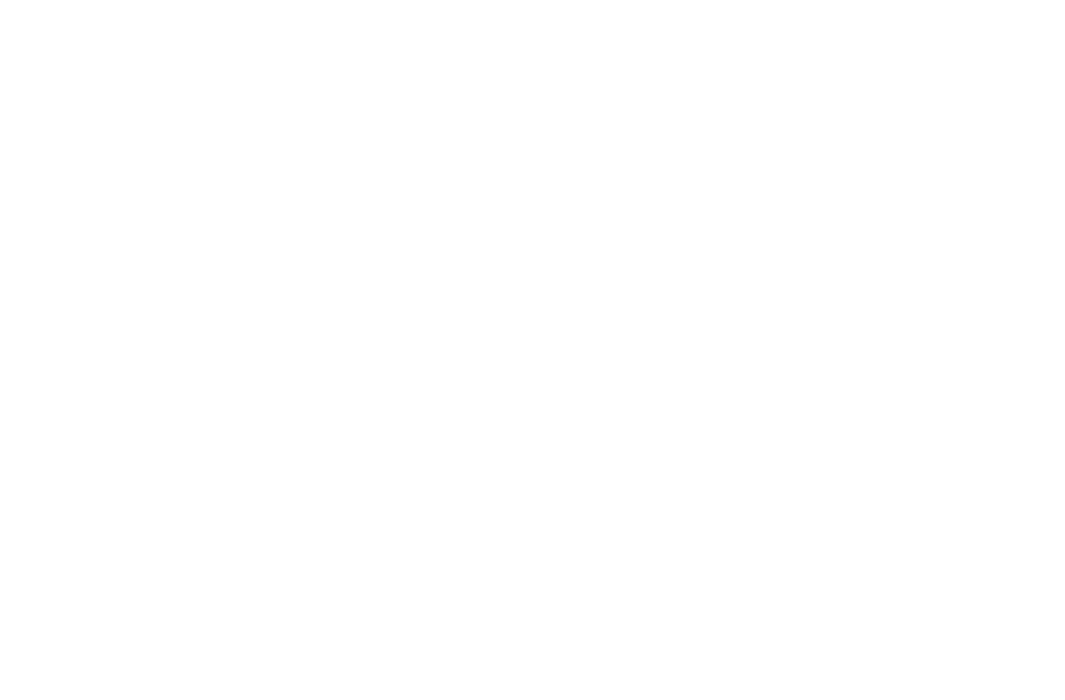 The Villas at Brookview logo